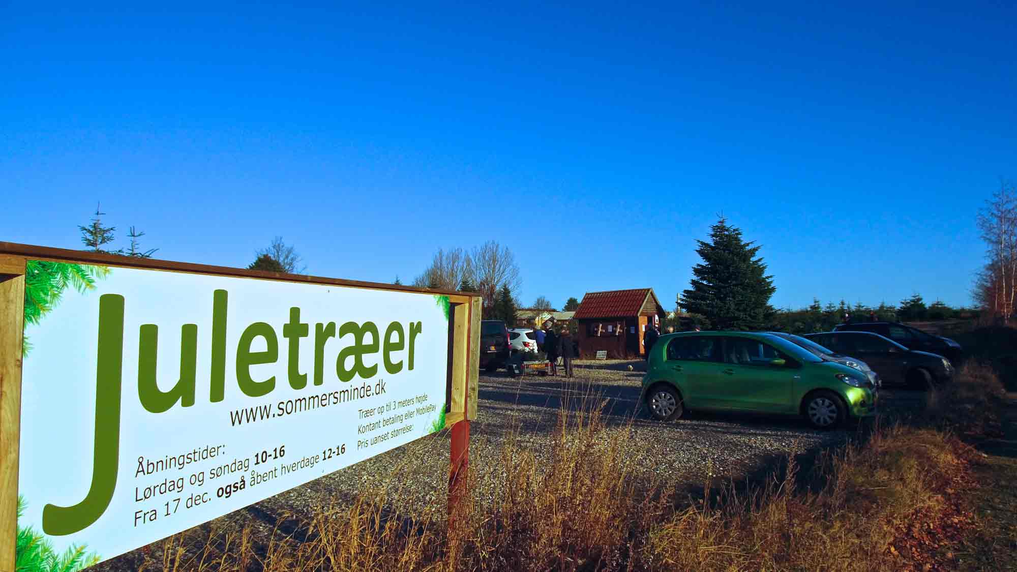 Fæld selv juletræ Aarhus – familie vælger juletræ i plantagen