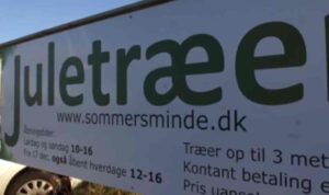 Fæld selv juletræ sommersminde skilt