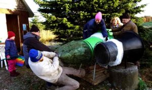 Familien Sommer i Sommersminde fæld selv juletræsplantage