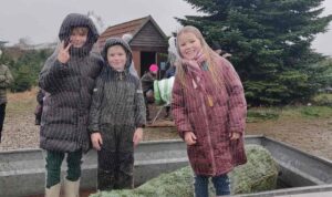 Fæld selv juletræer med familien hos sommersminde