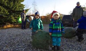 Find det rigtige fæld selv juletræ hos sommersminde