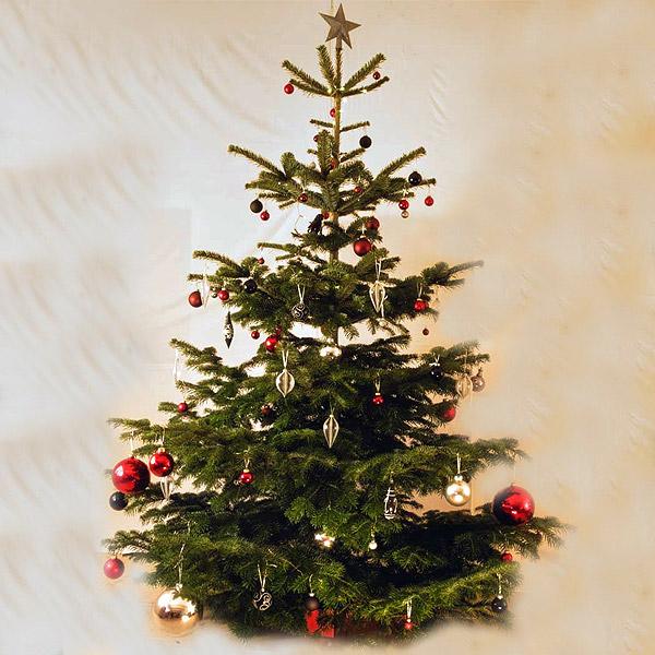 Juletræsfod med vand under et pyntet juletræ